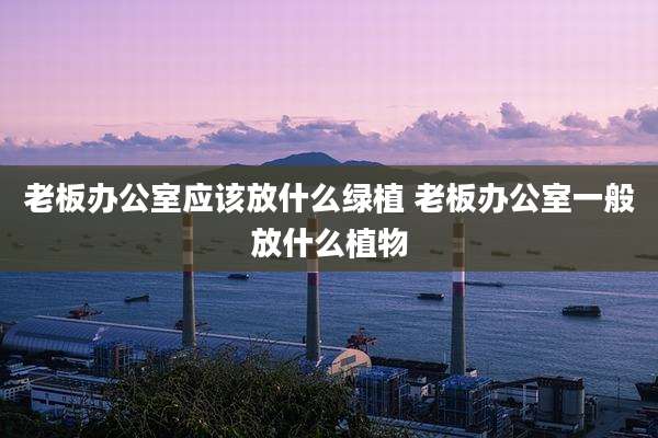 老板办公室应该放什么绿植 老板办公室一般放什么植物