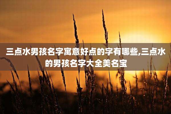 三点水男孩名字寓意好点的字有哪些,三点水的男孩名字大全美名宝