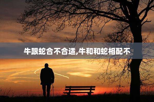 牛跟蛇合不合适,牛和和蛇相配不