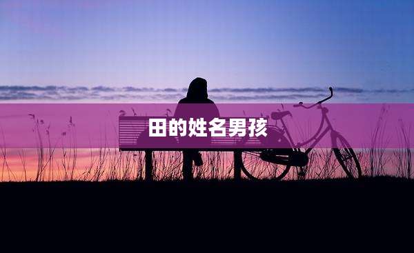 田的姓名男孩