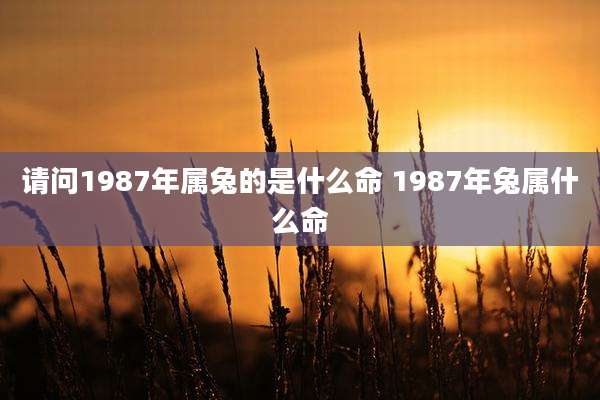 请问1987年属兔的是什么命 1987年兔属什么命