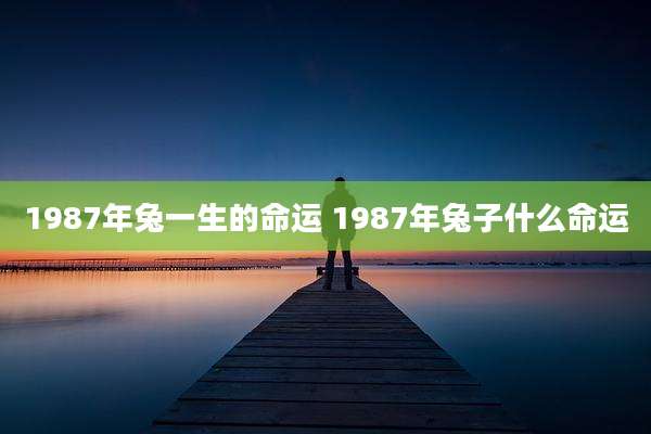 1987年兔一生的命运 1987年兔子什么命运