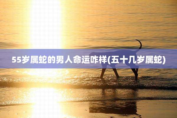 55岁属蛇的男人命运咋样(五十几岁属蛇)