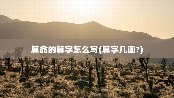 算命的算字怎么写(算字几画?)