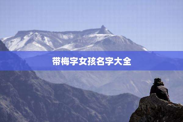 带梅字女孩名字大全