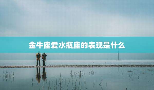 金牛座爱水瓶座的表现是什么