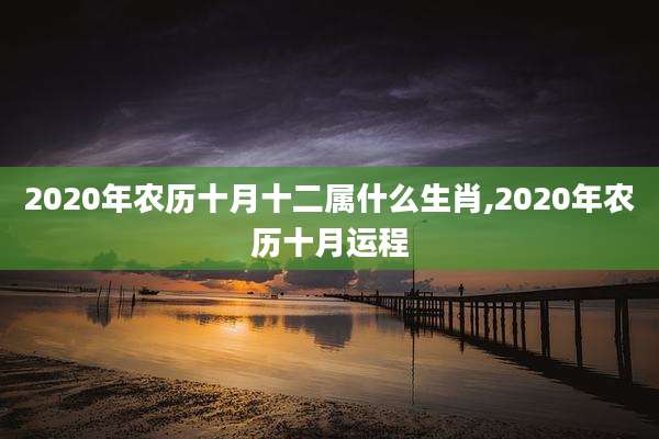 2020年农历十月十二属什么生肖,2020年农历十月运程