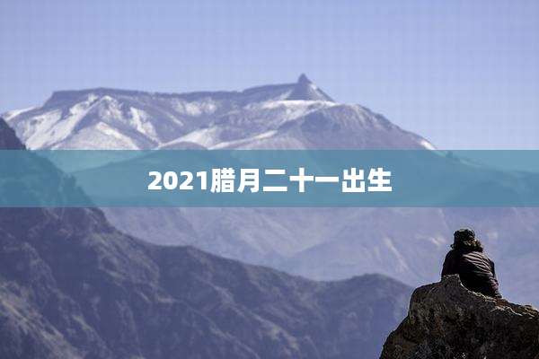 2021腊月二十一出生