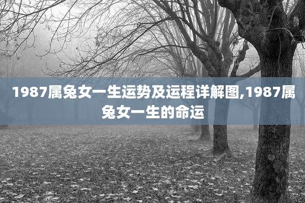 1987属兔女一生运势及运程详解图,1987属兔女一生的命运