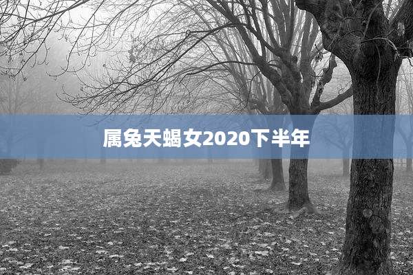 属兔天蝎女2020下半年