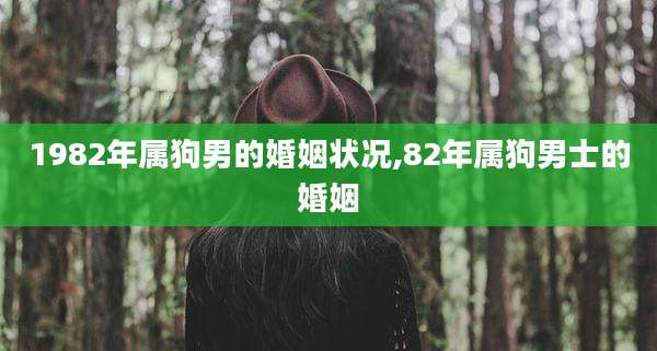 1982年属狗男的婚姻状况,82年属狗男士的婚姻