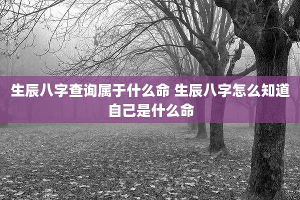生辰八字查询属于什么命 生辰八字怎么知道自己是什么命