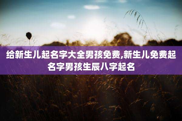 给新生儿起名字大全男孩免费,新生儿免费起名字男孩生辰八字起名