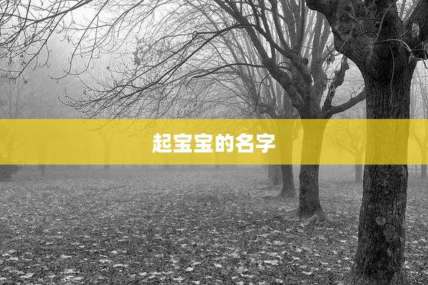 起宝宝的名字