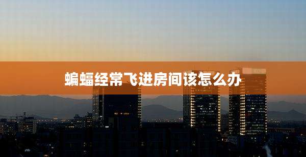 蝙蝠经常飞进房间该怎么办
