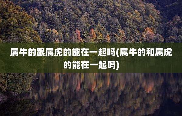 属牛的跟属虎的能在一起吗(属牛的和属虎的能在一起吗)