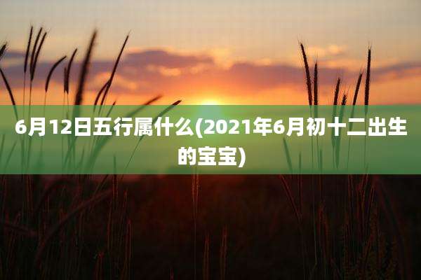 6月12日五行属什么(2021年6月初十二出生的宝宝)