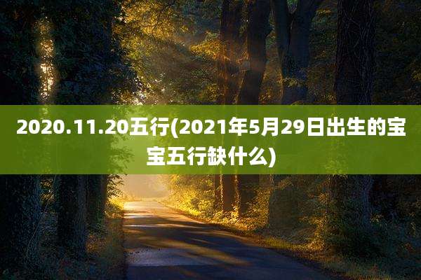 2020.11.20五行(2021年5月29日出生的宝宝五行缺什么)