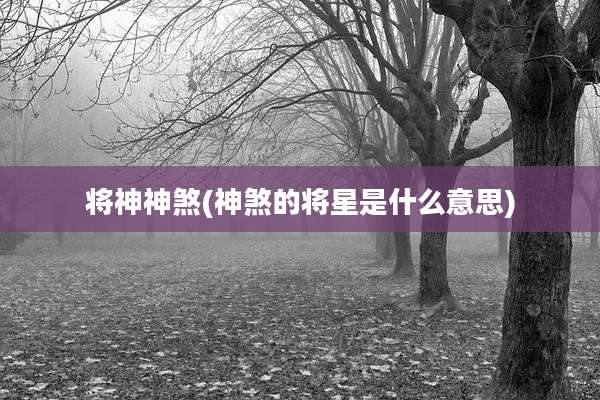 将神神煞(神煞的将星是什么意思)