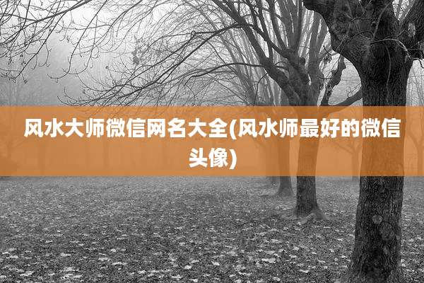 风水大师微信网名大全(风水师最好的微信头像)