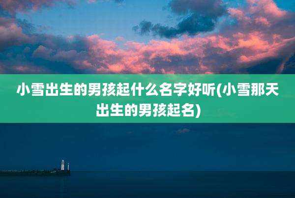 小雪出生的男孩起什么名字好听(小雪那天出生的男孩起名)