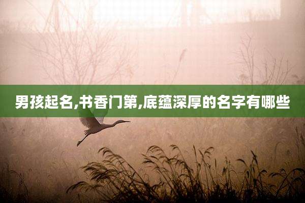 男孩起名,书香门第,底蕴深厚的名字有哪些