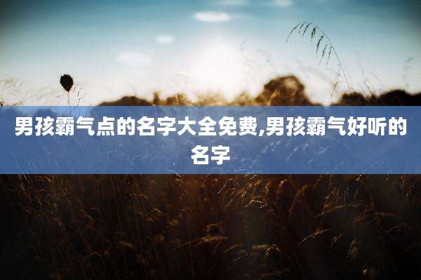 男孩霸气点的名字大全免费,男孩霸气好听的名字