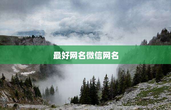 最好网名微信网名