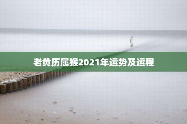 老黄历属猴2021年运势及运程