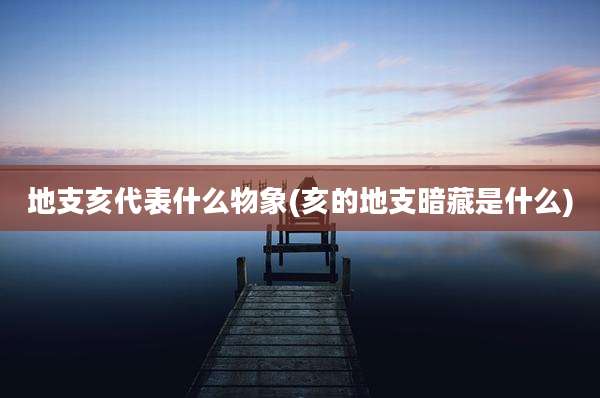地支亥代表什么物象(亥的地支暗藏是什么)