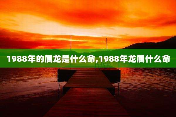 1988年的属龙是什么命,1988年龙属什么命