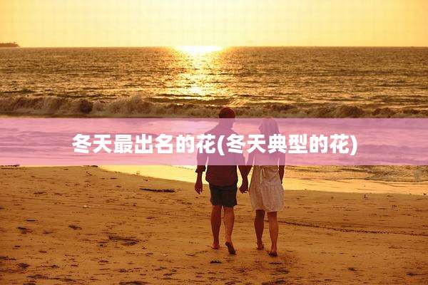 冬天最出名的花(冬天典型的花)