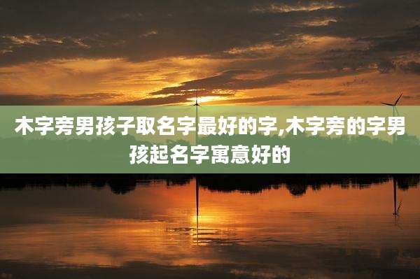 木字旁男孩子取名字最好的字,木字旁的字男孩起名字寓意好的