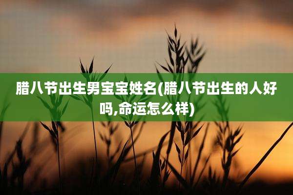 腊八节出生男宝宝姓名(腊八节出生的人好吗,命运怎么样)