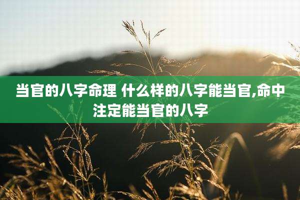 当官的八字命理 什么样的八字能当官,命中注定能当官的八字