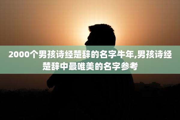 2000个男孩诗经楚辞的名字牛年,男孩诗经楚辞中最唯美的名字参考