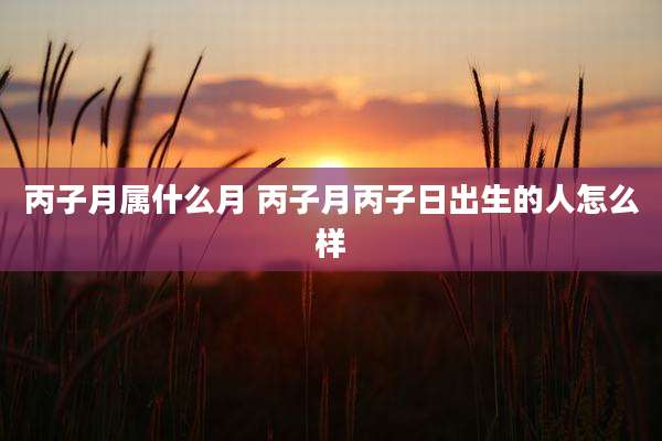 丙子月属什么月 丙子月丙子日出生的人怎么样