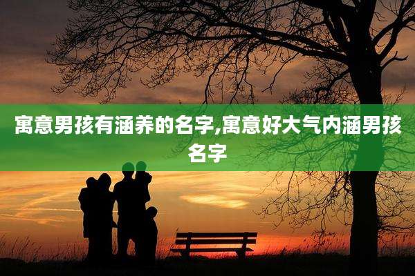 寓意男孩有涵养的名字,寓意好大气内涵男孩名字