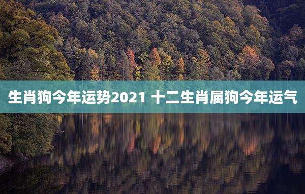 生肖狗今年运势2021 十二生肖属狗今年运气