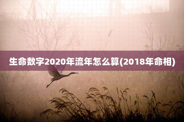 生命数字2020年流年怎么算(2018年命相)