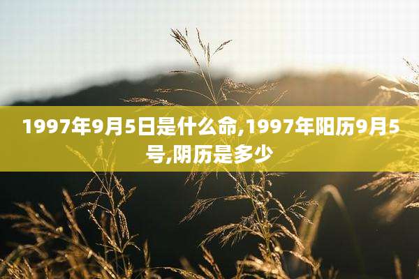 1997年9月5日是什么命,1997年阳历9月5号,阴历是多少