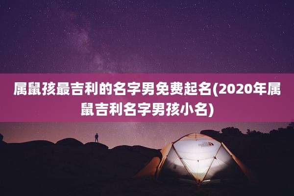 属鼠孩最吉利的名字男免费起名(2020年属鼠吉利名字男孩小名)