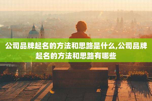 公司品牌起名的方法和思路是什么,公司品牌起名的方法和思路有哪些