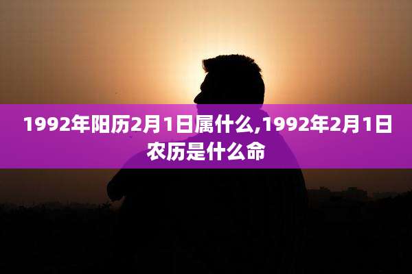 1992年阳历2月1日属什么,1992年2月1日农历是什么命