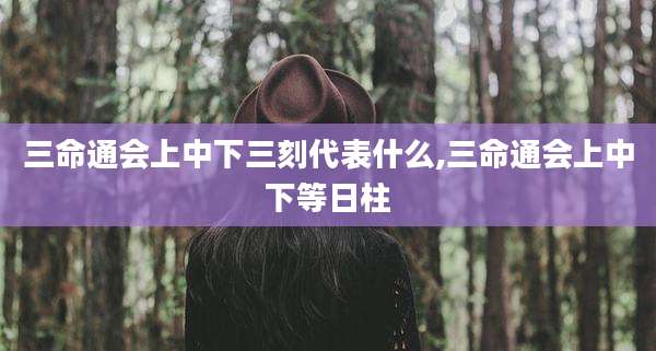 三命通会上中下三刻代表什么,三命通会上中下等日柱