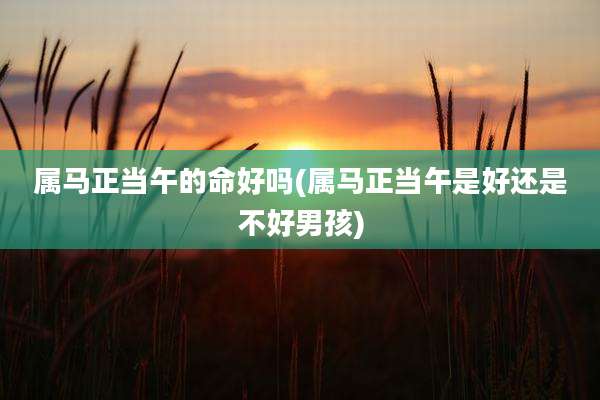 属马正当午的命好吗(属马正当午是好还是不好男孩)