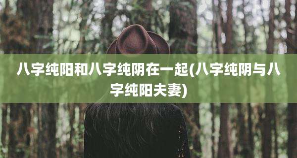 八字纯阳和八字纯阴在一起(八字纯阴与八字纯阳夫妻)