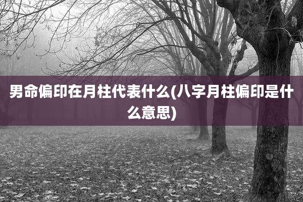 男命偏印在月柱代表什么(八字月柱偏印是什么意思)