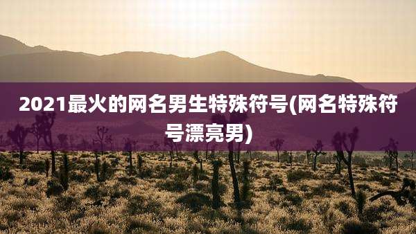2021最火的网名男生特殊符号(网名特殊符号漂亮男)