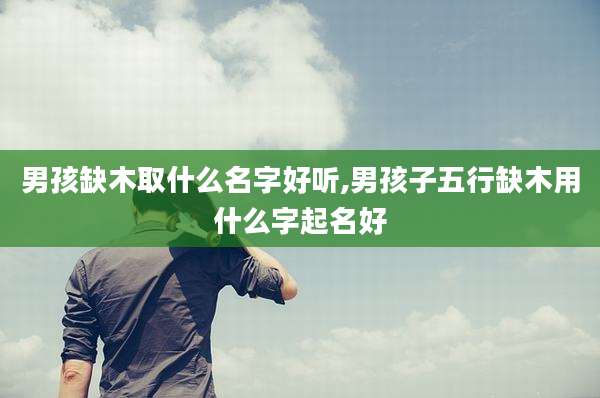 男孩缺木取什么名字好听,男孩子五行缺木用什么字起名好